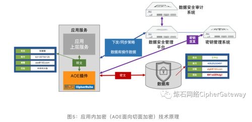 一文讀懂十大數(shù)據(jù)存儲(chǔ)加密技術(shù)及數(shù)據(jù)處理和存儲(chǔ)服務(wù)